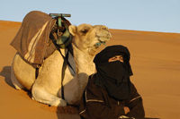 Discover Maroc New Year 2010