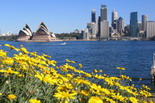 Discover Australia & Noua Zeelanda