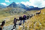 Discover South America