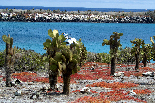 Oferta Speciala Air France & KLM - Best of Peru & Ecuador & Galapagos