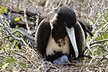 Best of Peru & Ecuador & Galapagos