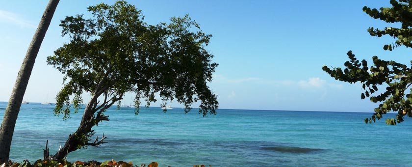 Sejur plaja La Romana, Republica Dominicana, 9 zile - noiembrie 2020