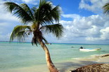 Sejur Plaja Punta Cana Touch - Revelion 2011