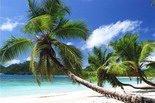 Beach & Leisure Seychelles Touch Special