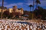 Discover Andalusia
