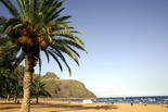Sejur Plaja Tenerife Touch