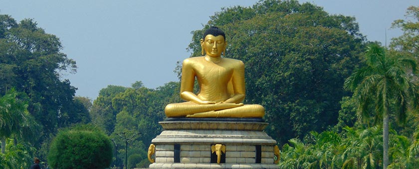 Discover Sri Lanka - februarie 2021