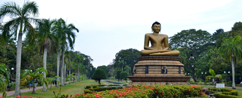 Discover Sri Lanka - februarie 2021