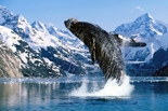 Relax Alaska
