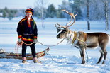Tour Cruise Discover Lapland & Norway Fjords - New Year 2011