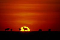 Highlights Tanzania New Year's Eve 2011