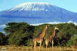 Explorer Tanzania