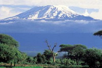 Safari Tanzania Touch New Year's Eve 2011