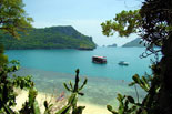 Discover Koh Samui New Year 2011