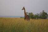 Discover Uganda