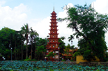 Vietnam Experience