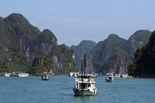 Discover Vietnam