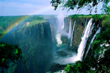 Best of Wild Africa