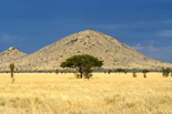 Tour Highlights Tanzania & Zanzibar