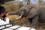 Tour Tanzania & Zanzibar Experience