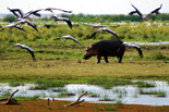 Tour Tanzania & Zanzibar Touch