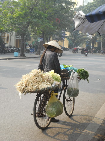 Impresii Vietnam & Cambodgia - decembrie 2013