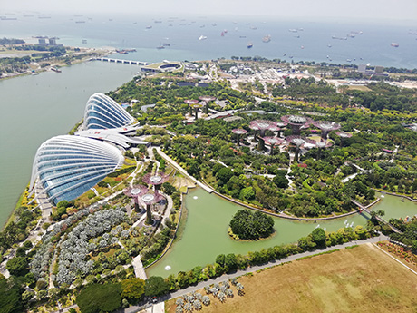 Impresii Singapore - August 2019