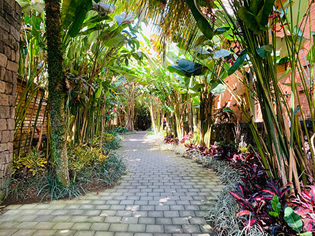Jurnal de calatorie: vacanta in Bali - octombrie 2019