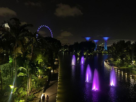 Impresii Singapore - decembrie 2019