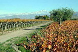 Mendoza
