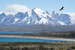 Torres del Paine