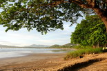 Guanacaste Guanacaste