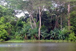 Parcul National Carara Parcul National Carara