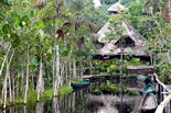 Sacha Lodge