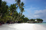 Bohol