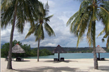 Cebu