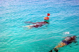 Snorkeling