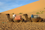 Merzouga