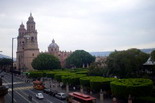 Morelia