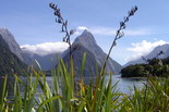 Milford Sound