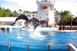 Orlando