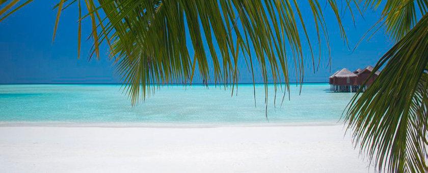 Beach relax - Anantara Maldives