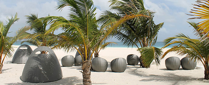 Taste of Maldives