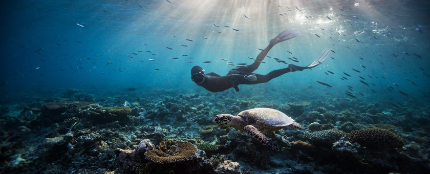 Sejur plaja Maldive, 8 zile - august 2020