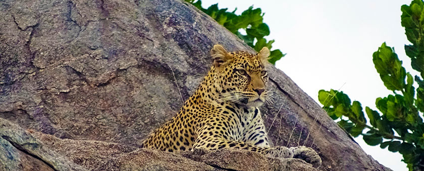 Discover Kenya & Tanzania - august 2020
