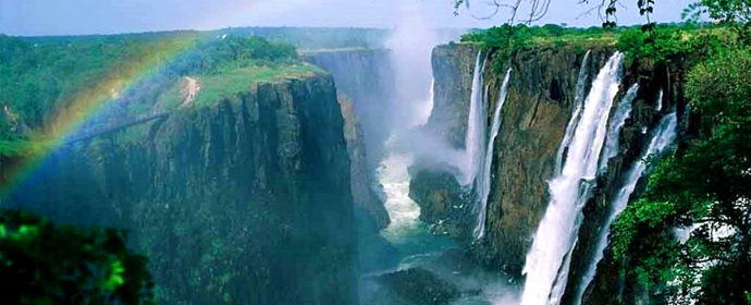Best of Wild Africa